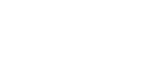 st george university